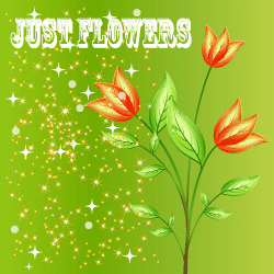Just Flowers!