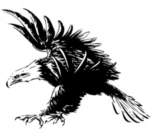 Eagle Vector Graphic