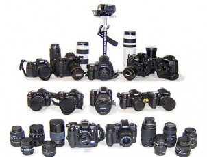 Different Subjects On Photography And Emphasis On Nature Photography