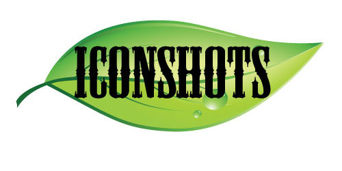 Clipping Mask Tutorial