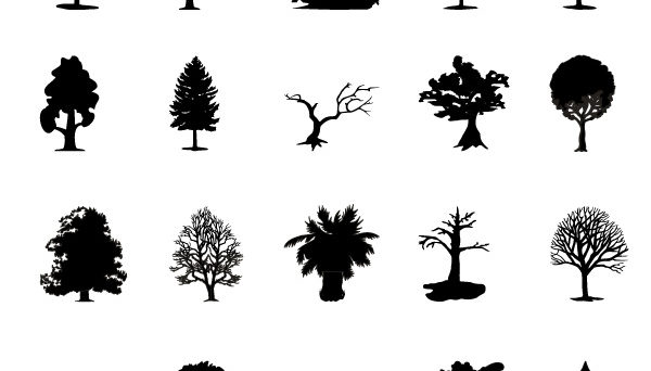 Trees