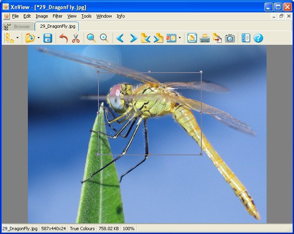 XnView is a utility for viewing and converting graphic files