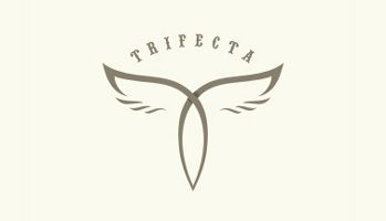 Top 10 Examples for Logo's Showing Symmetry Design - Trifecta