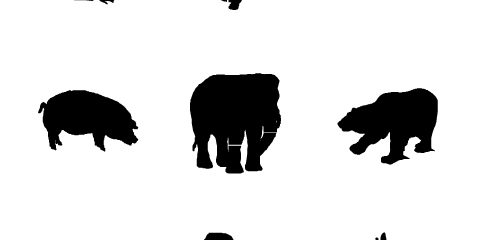 Animals Silhouette