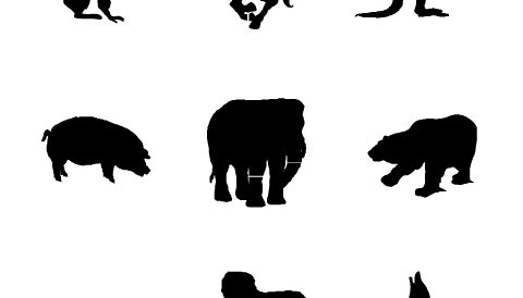 Animals Silhouette