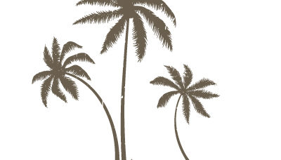Palm Tree
