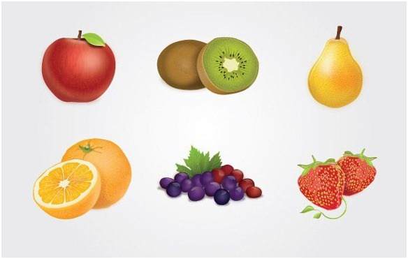 Fruits vector graphic