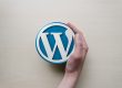 Wordpress Web Development