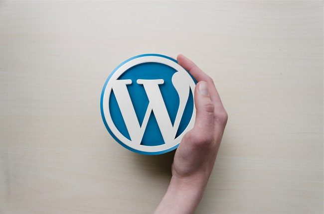 Wordpress Web Development