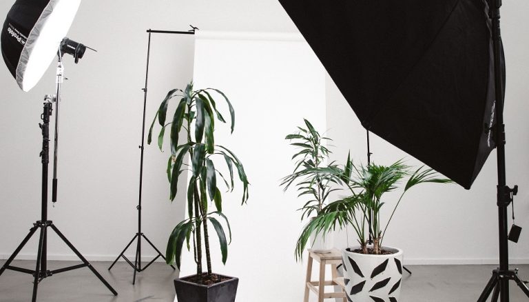 Photo Studio Lighting 101: Photography Equipment For A Photo Shoot