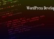 Better WordPress Developer