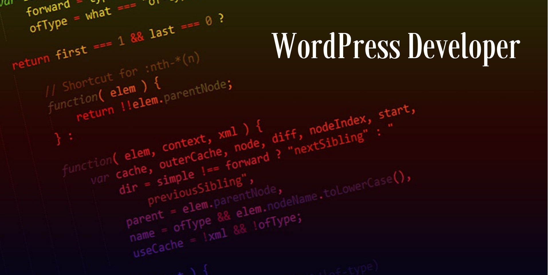 Better WordPress Developer