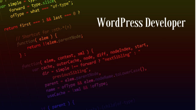 Better WordPress Developer