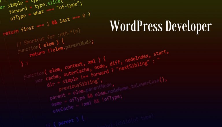 Better WordPress Developer