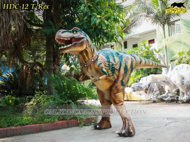 Realistic Halloween Costumes