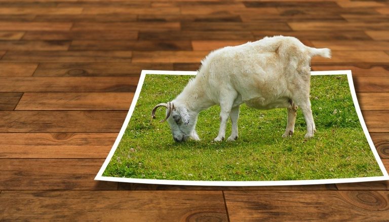 Clipping Path Tutorial