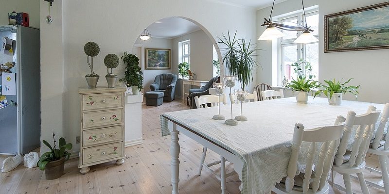 Light Up Your Home With Scintillating Indoor Plants Ideas 