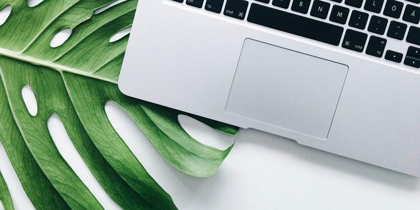 Green up Your Business in 5 Quick Steps to Save Money and the Environment