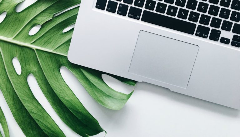 Green up Your Business in 5 Quick Steps to Save Money and the Environment