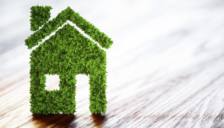 4 Eco-Friendly Home Design Ideas to Implement