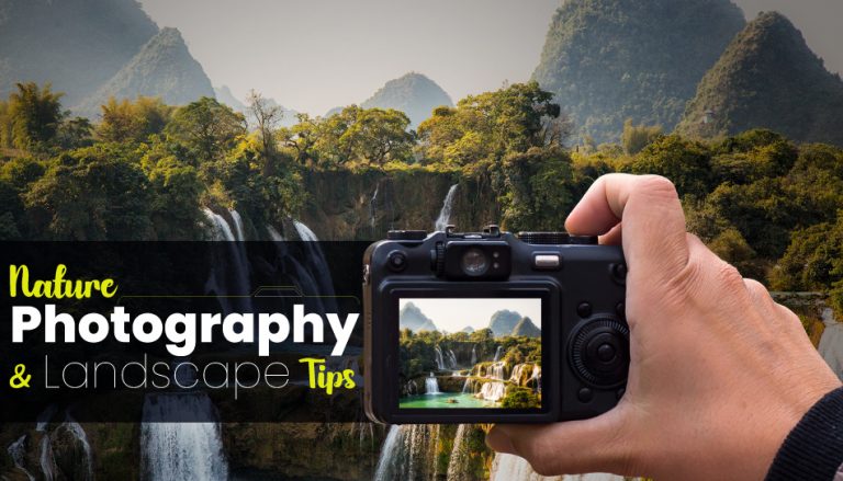 Nature Photography and Landscape Tips
