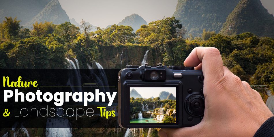 Nature Photography and Landscape Tips