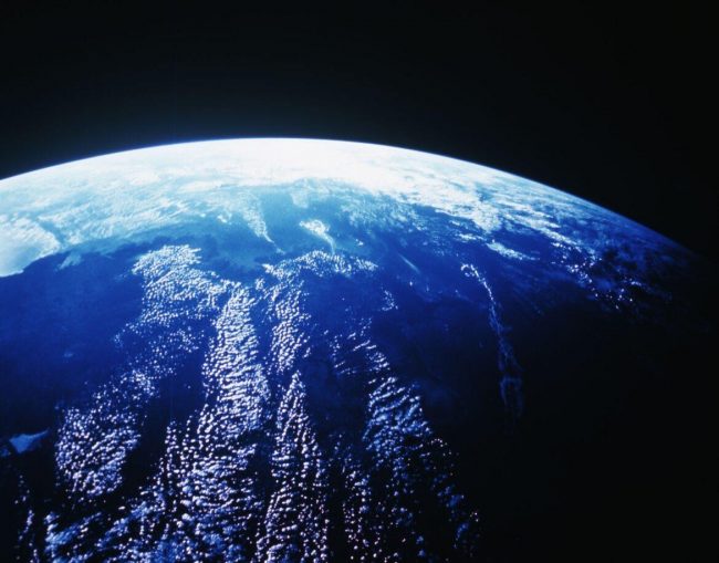 The State of Sustainable Investing in 2020