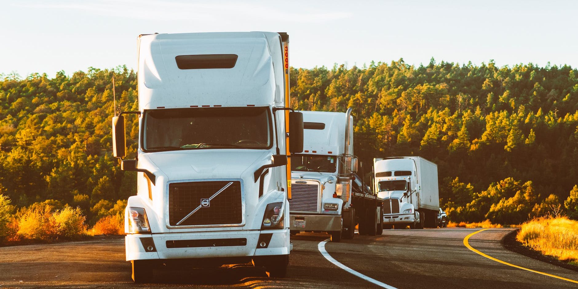 white volvo semi truck on side of road
