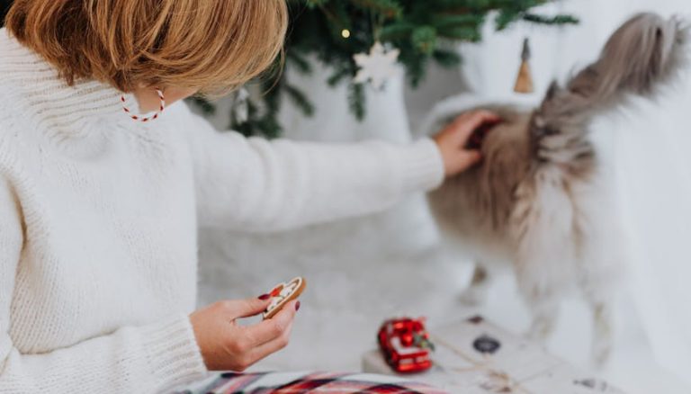 woman sitting on the floor touching a cat