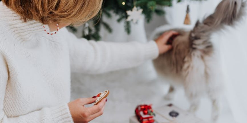 woman sitting on the floor touching a cat
