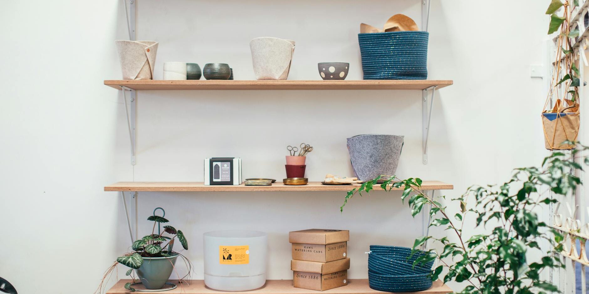 various households on wooden shelves of home