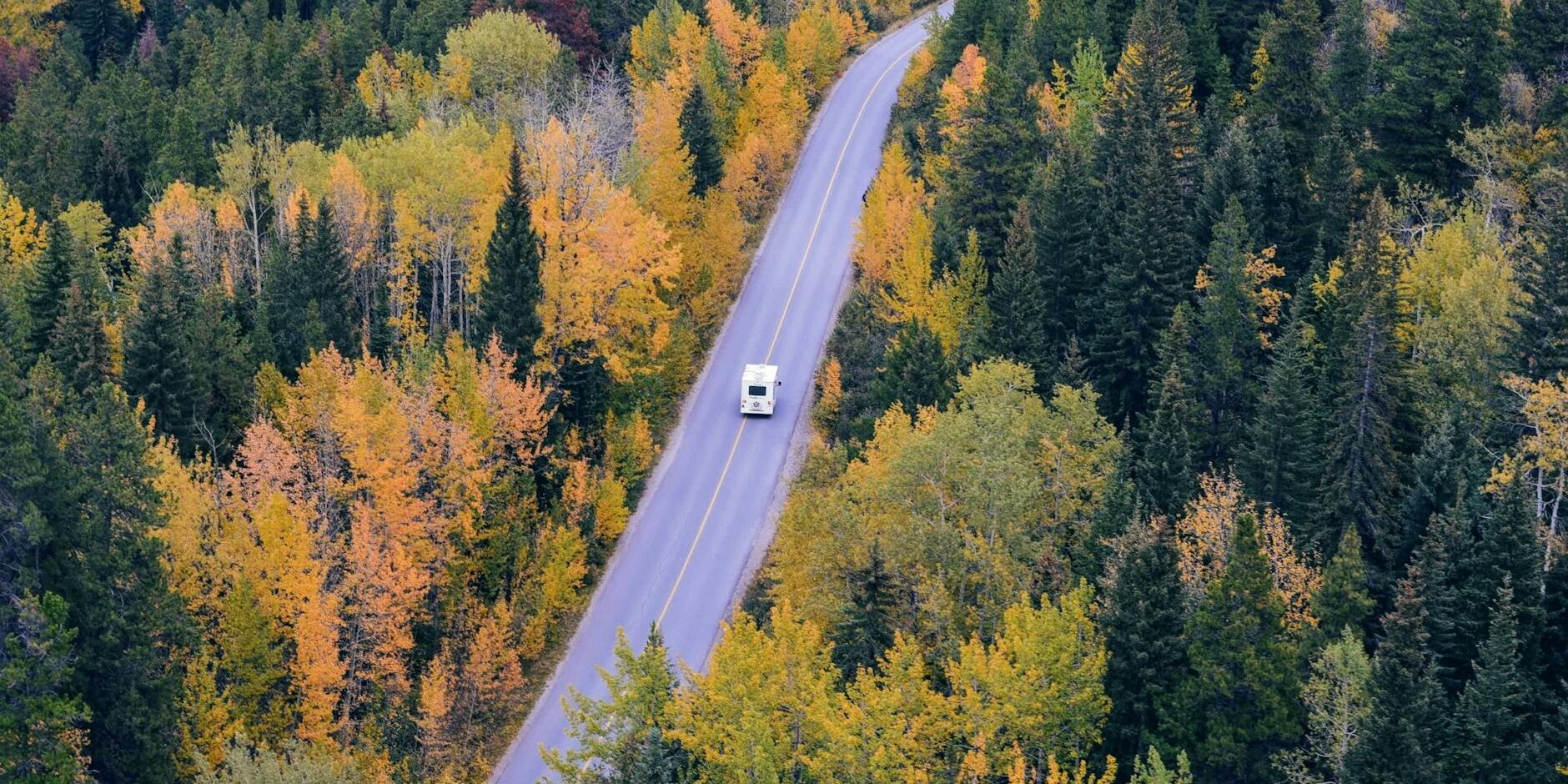 white car traveling near trees during daytime