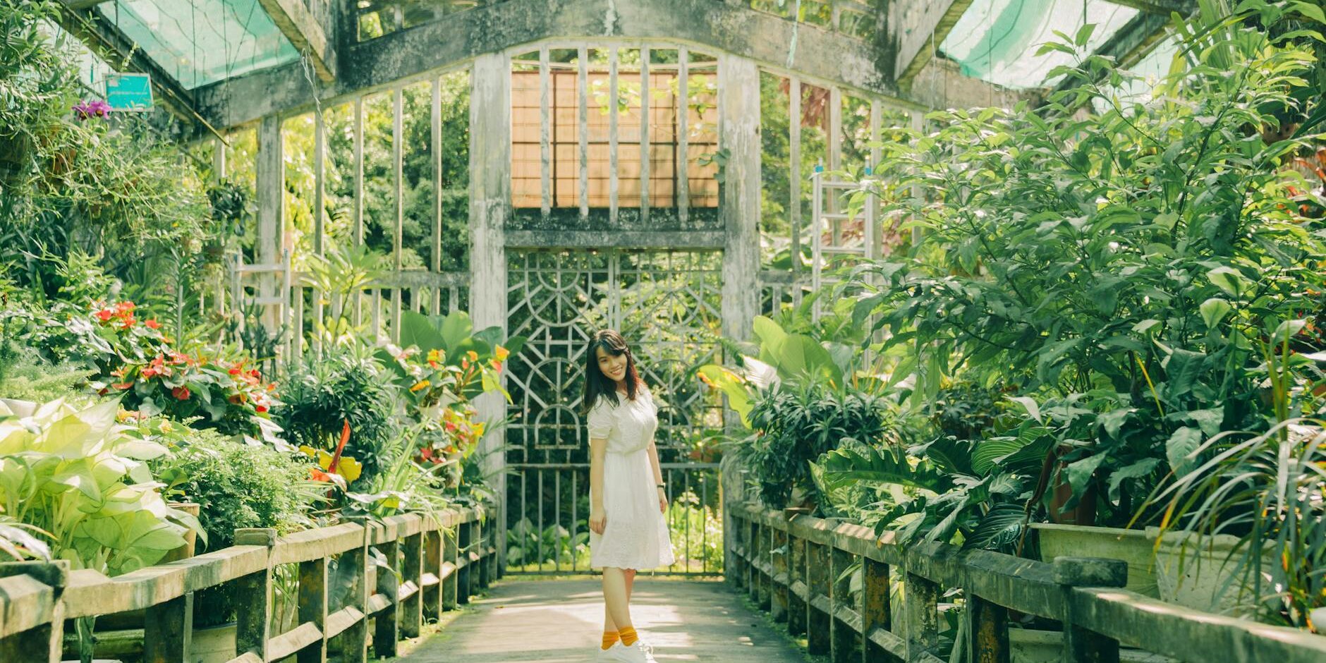 woman standing inside green house