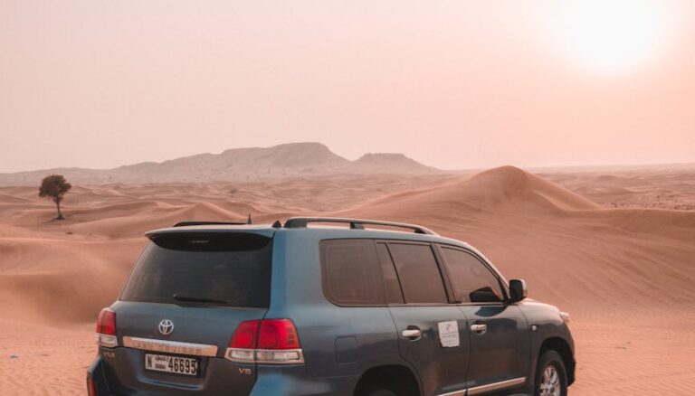 suv on brown sand