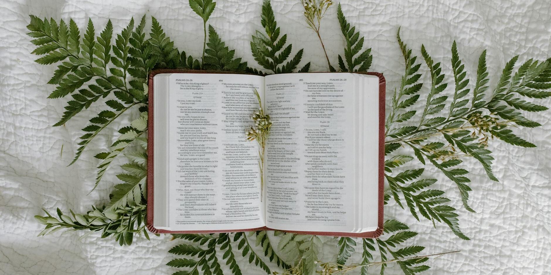 the book of psalms in the bible