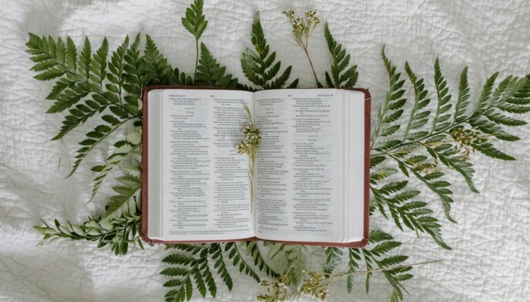 the book of psalms in the bible
